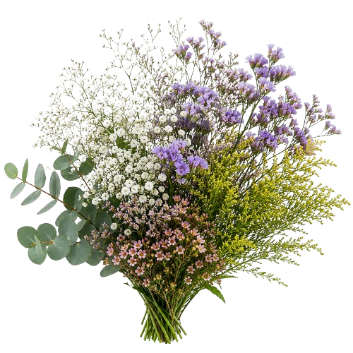 Flores de Enchimento