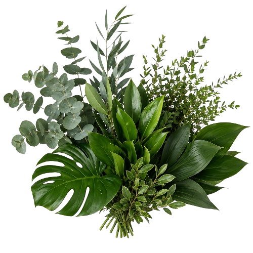 Folhagens
