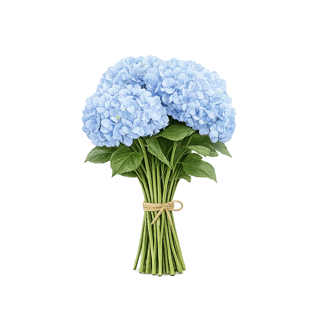 Hortênsia Azul