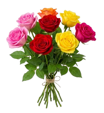 Mix de Rosas Coloridas — 10 hastes